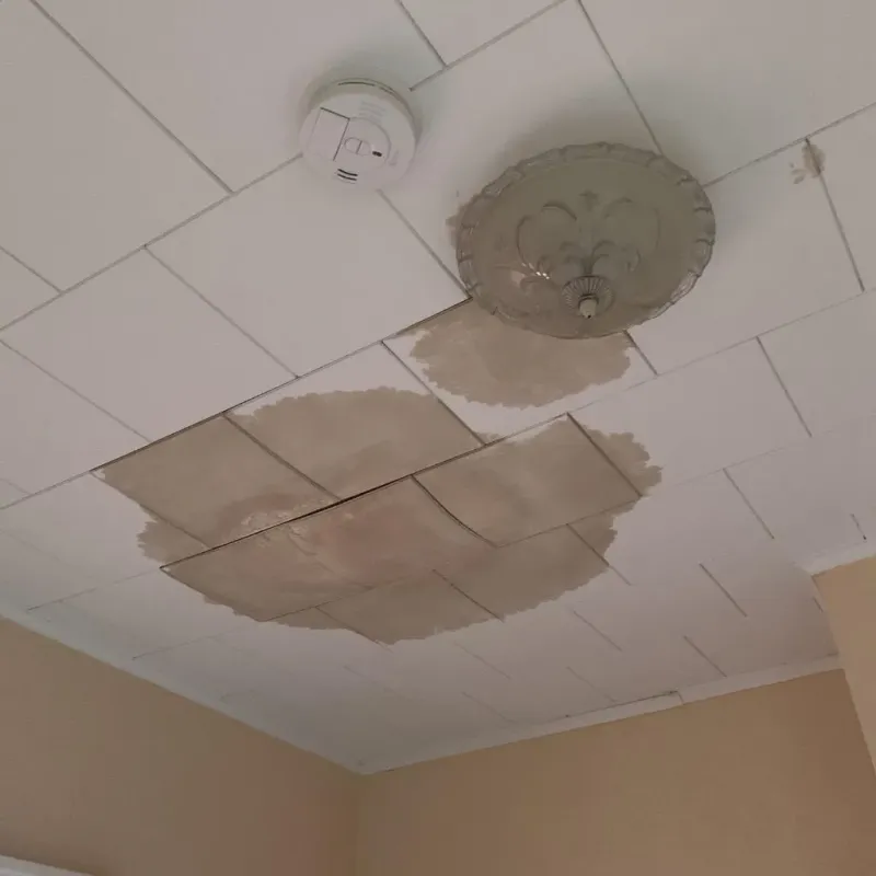 Ceiling Water Damage Repair in North Plymouth, MA
