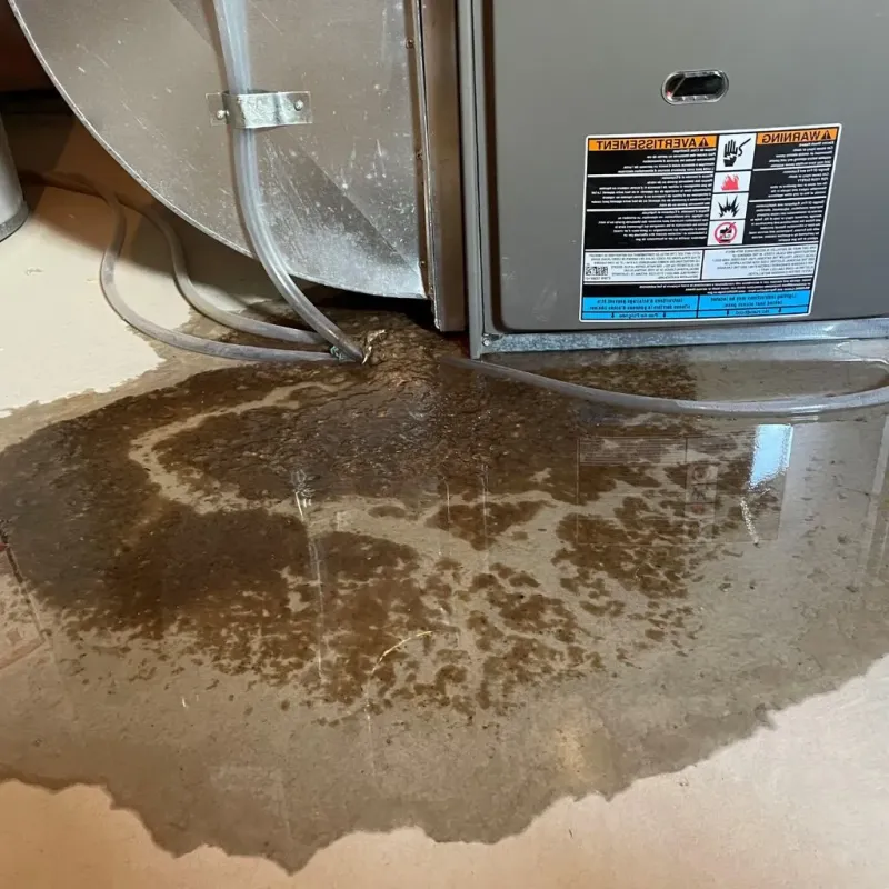 Pipe Burst and Leak Restoration in North Plymouth, MA